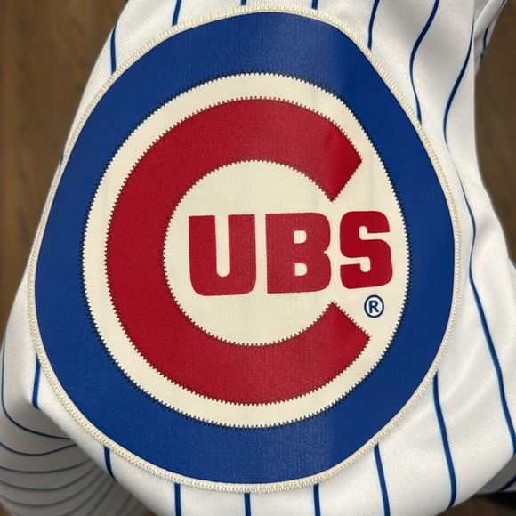 Ramirez 16 CUBS Pin Stripes Jersey - Picture 4 of 6